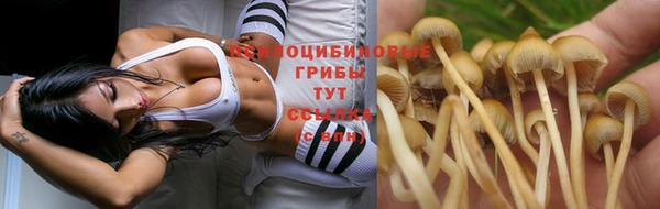 прущая мука Балабаново
