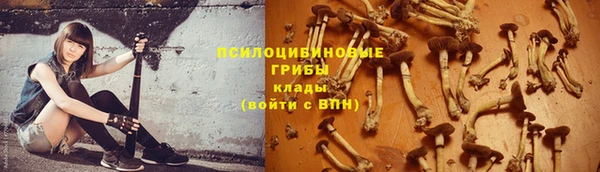 прущий лед Аркадак
