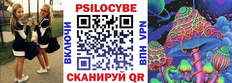 как найти наркотики Поворино Галлюциногенные грибы мицелий